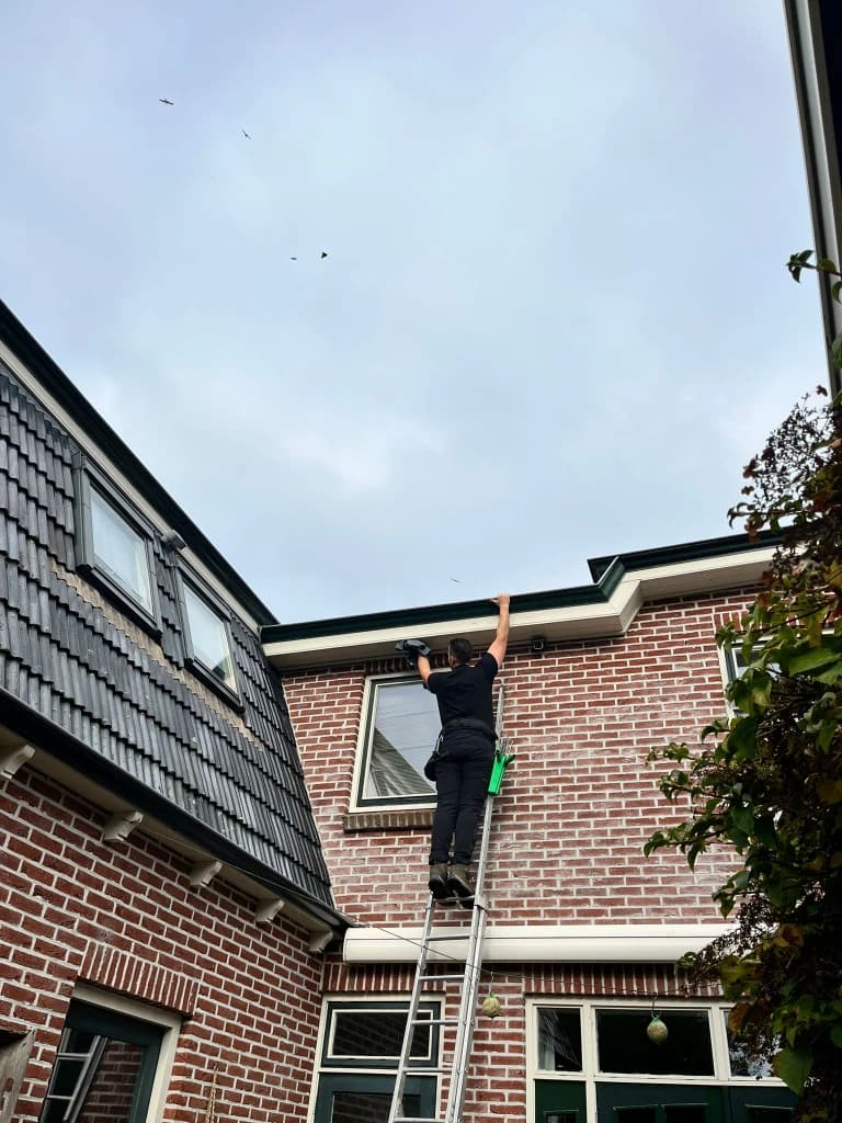 Houtwerk & Kunststof